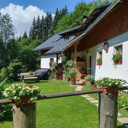 Ferienwohnung Alm-House Hollmann Železná Ruda Exterior foto
