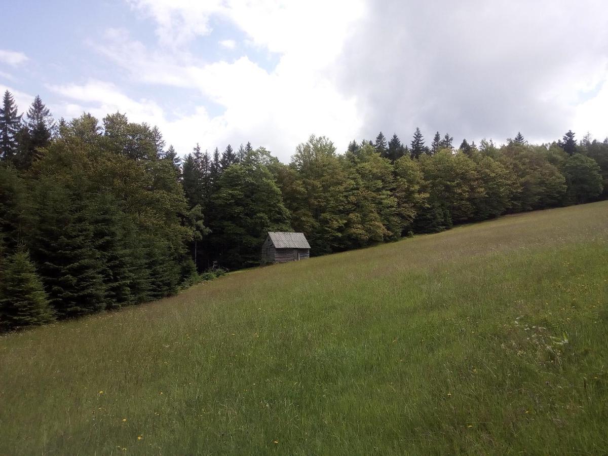Ferienwohnung Alm-House Hollmann Železná Ruda Exterior foto