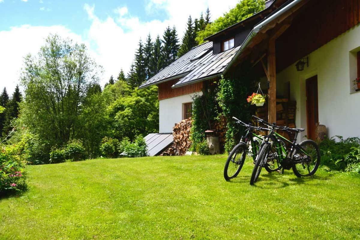Ferienwohnung Alm-House Hollmann Železná Ruda Exterior foto
